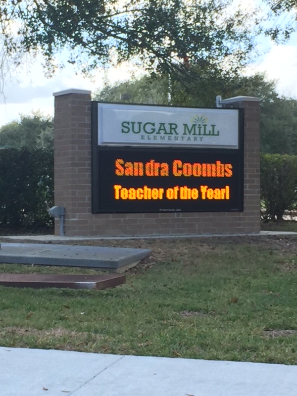 Campus Teacher of the Year award